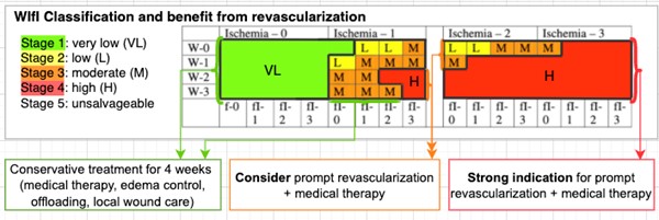 Interventions and estimated benefit from revascularization for each WIfI stage