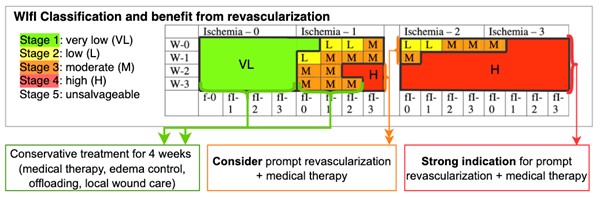 Fig. 1. Interventions and estimated benefit from revascularization for each WIfI stage 