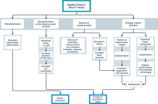 1. NPWT - proposed mechanism of action