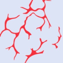 Screen Shot 2020-10-26 at 9.28.25 PM.png