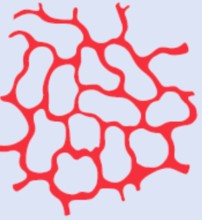 Screen Shot 2020-10-26 at 9.28.19 PM.png