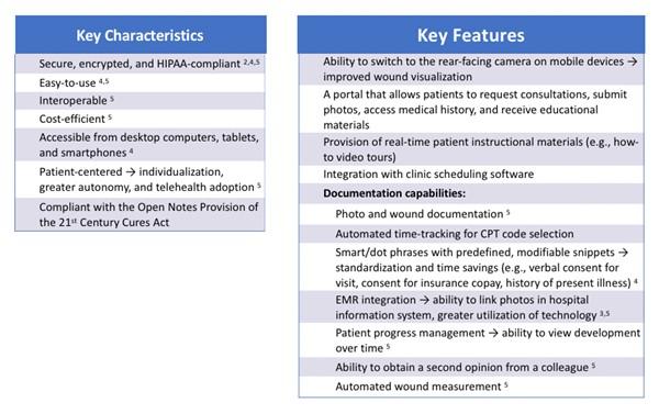 How to Choose a Telehealth Software for Wound Care
