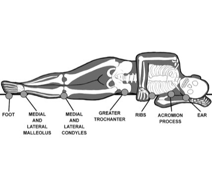 2. 90° lateral rotation 