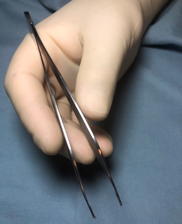  Holding forceps