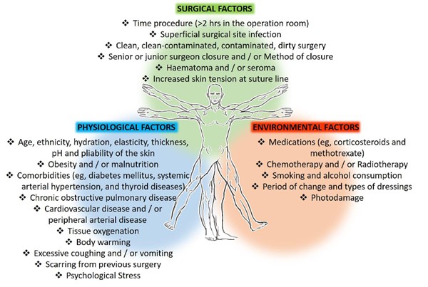 Risk factors for surgical wound complications