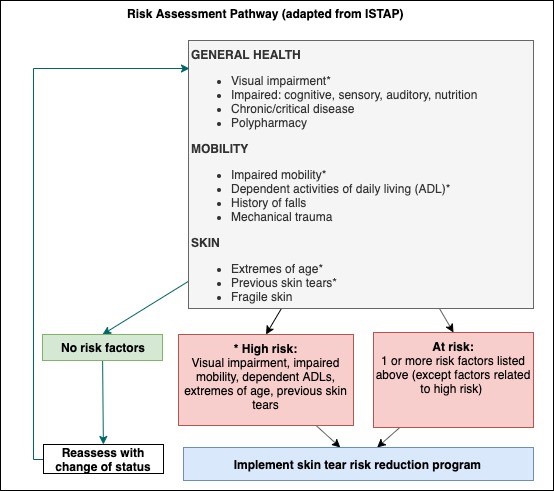 Skin tear risk assessment pathway
