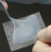 Grafix PRIME, Cryopreserved amniotic membrane, per square centimeter