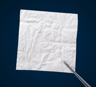 Advograft One, per square centimeter